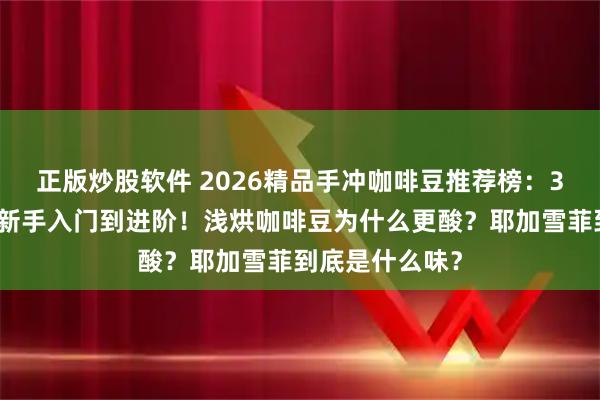 正版炒股软件 2026精品手冲咖啡豆推荐榜:3款耶加雪菲从新手入门到进阶!浅烘咖啡豆为什么更酸?耶加雪菲到底是什么味?