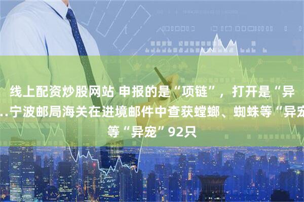线上配资炒股网站 申报的是“项链”，打开是“异宠”……宁波邮局海关在进境邮件中查获螳螂、蜘蛛等“异宠”92只